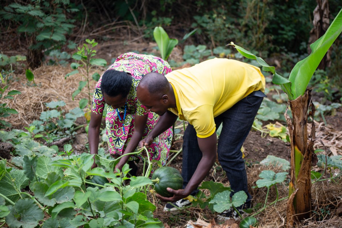 Half-Day Organic Farming Experience