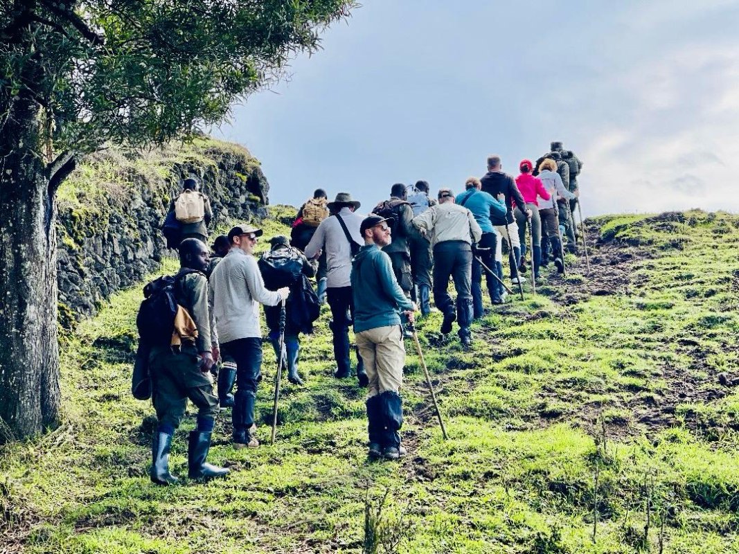 Half-Day  Volcano Trek – Eco Adventure in Rwanda