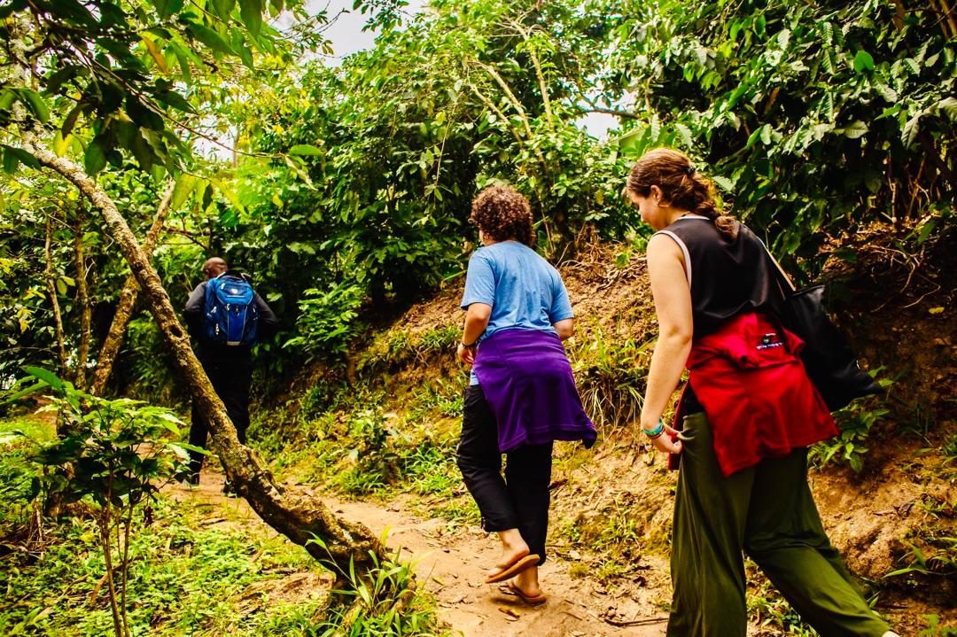 Rwandan Countryside Eco-Hike