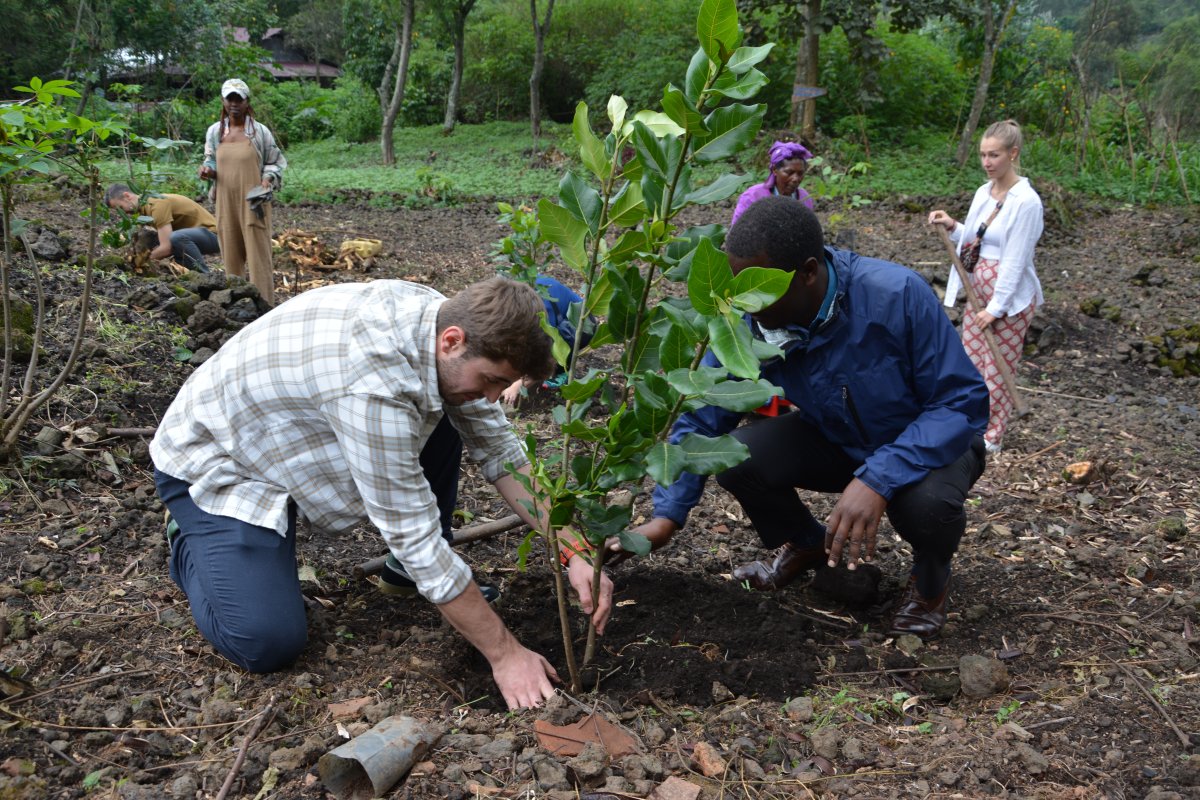 Wildlife and Conservation Experience in Rwanda – Protect Endangered Species