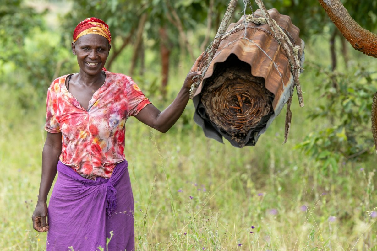 Rwanda Beekeeping Experience – Discover Honey Production